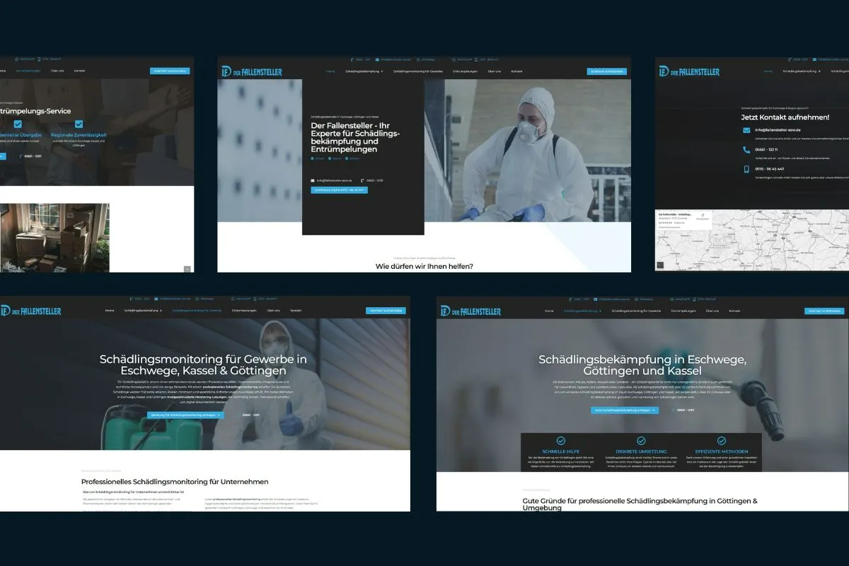 Webdesign für Schädlingsbekämpfer in Eschwege bei Göttingen